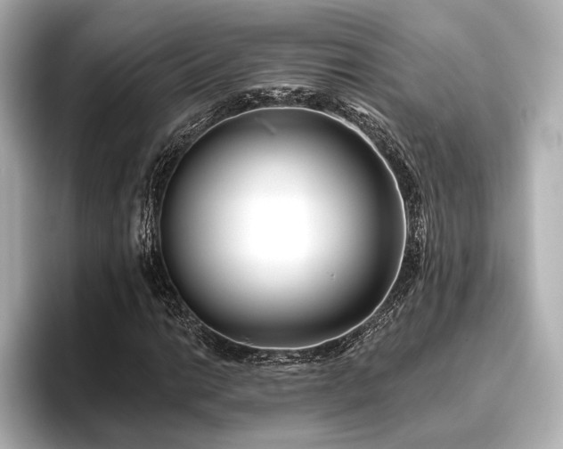 X0000096721014200802051438