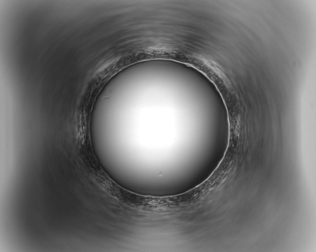 X0000096721015200802051438