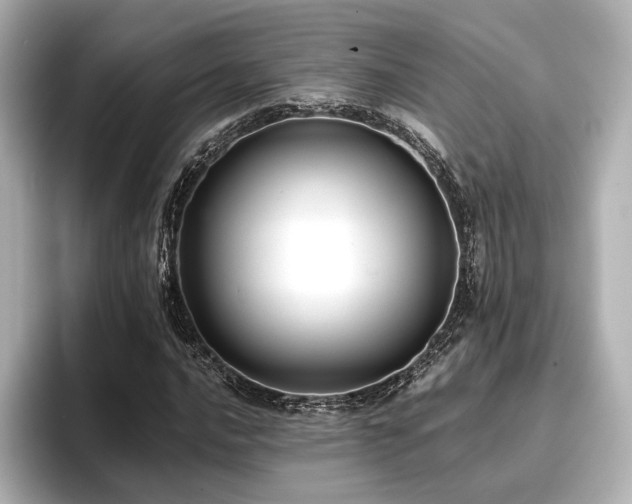 X0000096721016200802051438