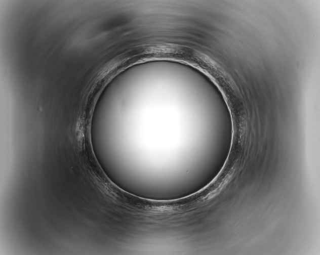 X0000096721017200802051438