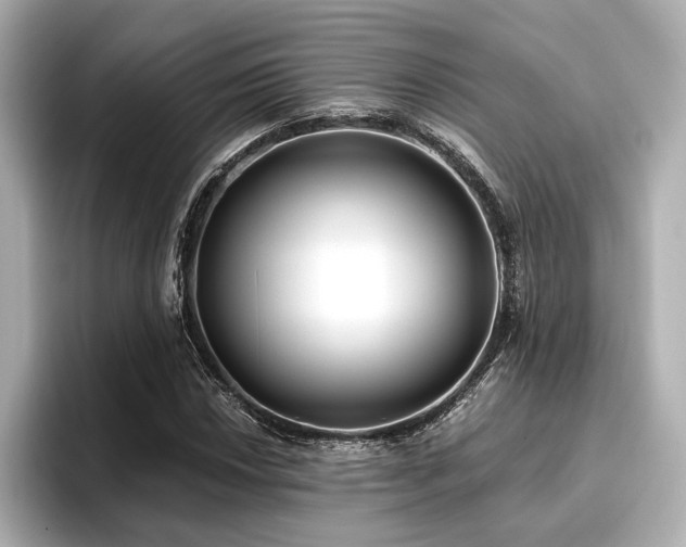 X0000096721018200802051438