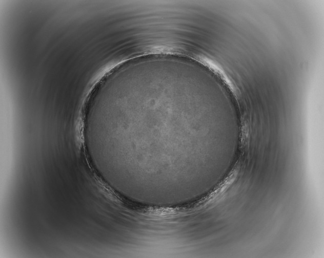 X0000096721019200802051438