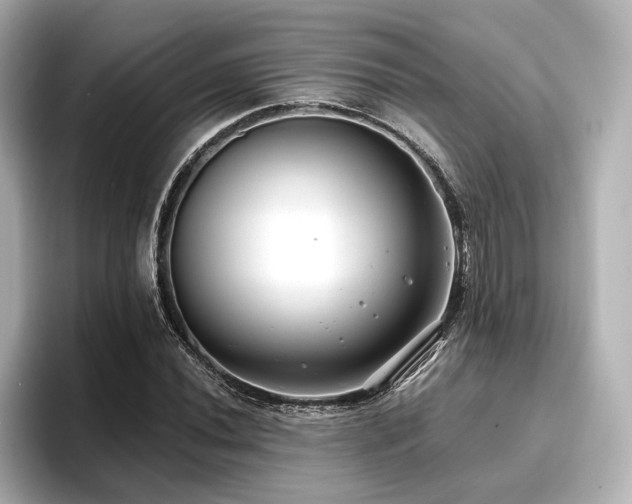 X0000096721020200802051438