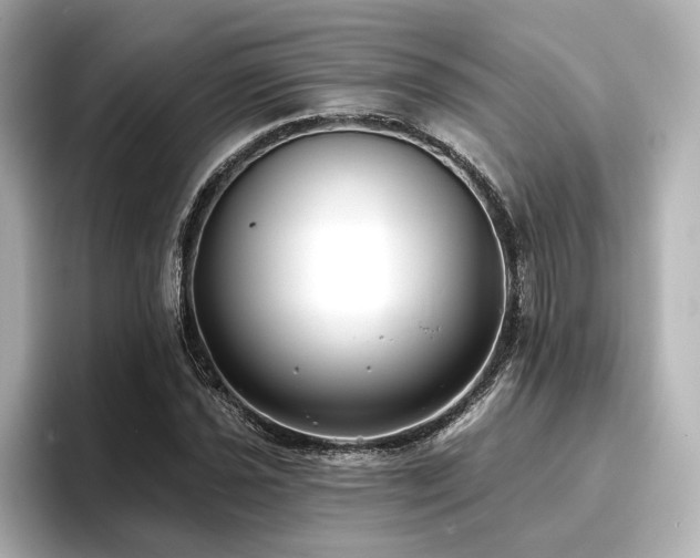 X0000096721021200802051438