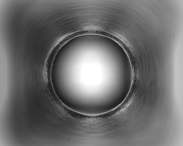 X0000096721022200802051438