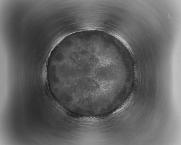 X0000096721023200802051438