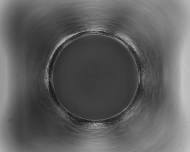 X0000096721024200802051438