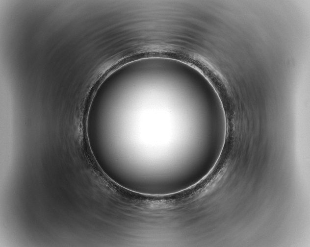 X0000096721025200802051438