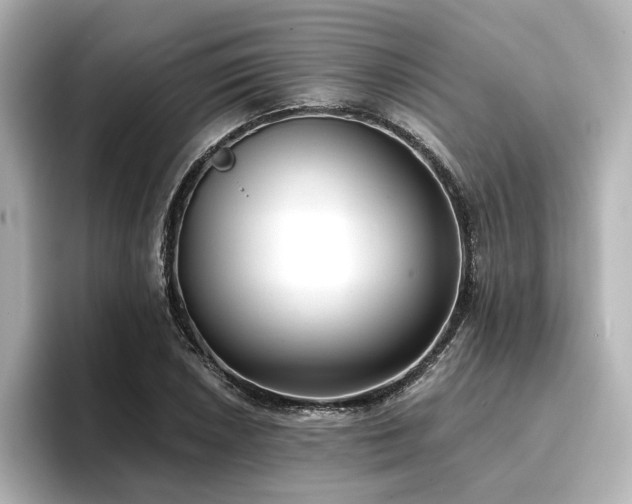 X0000096721026200802051438