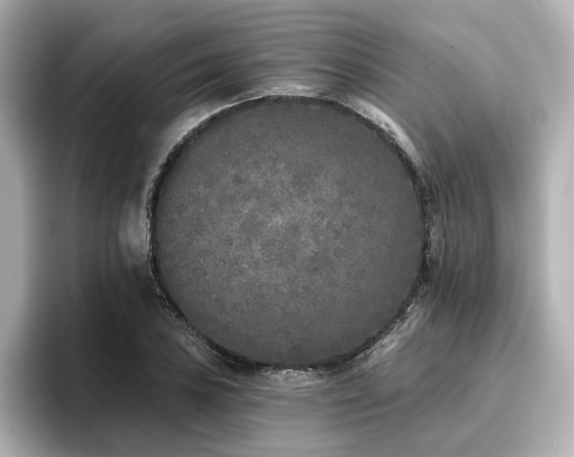 X0000096721027200802051438