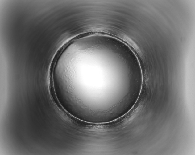 X0000096721028200802051438