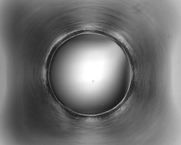 X0000096721029200802051438