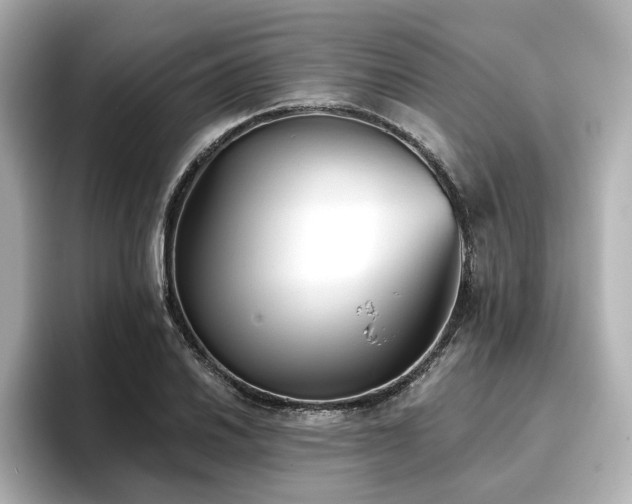 X0000096721030200802051438