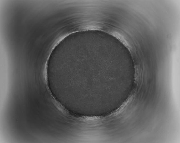 X0000096721031200802051438