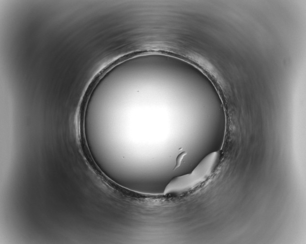 X0000096721032200802051438