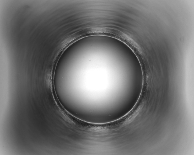 X0000096721033200802051438