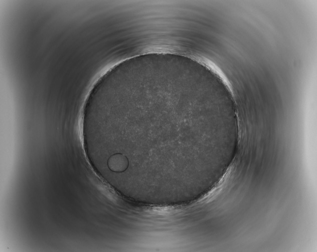 X0000096721035200802051438