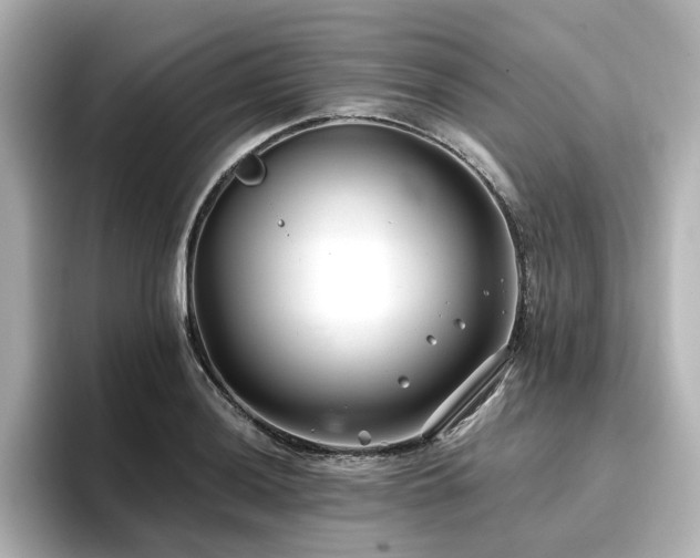 X0000096721036200802051438