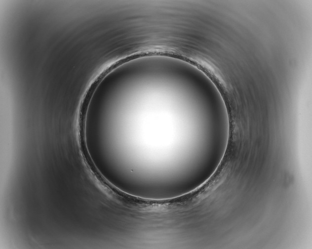X0000096721038200802051438