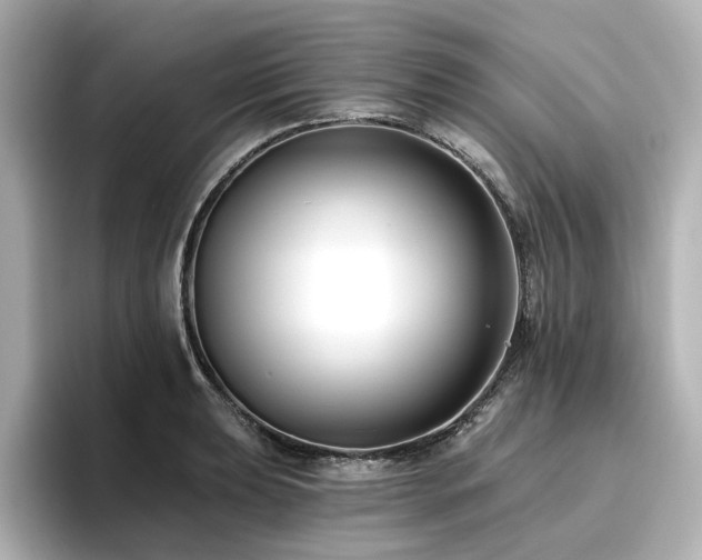 X0000096721039200802051439