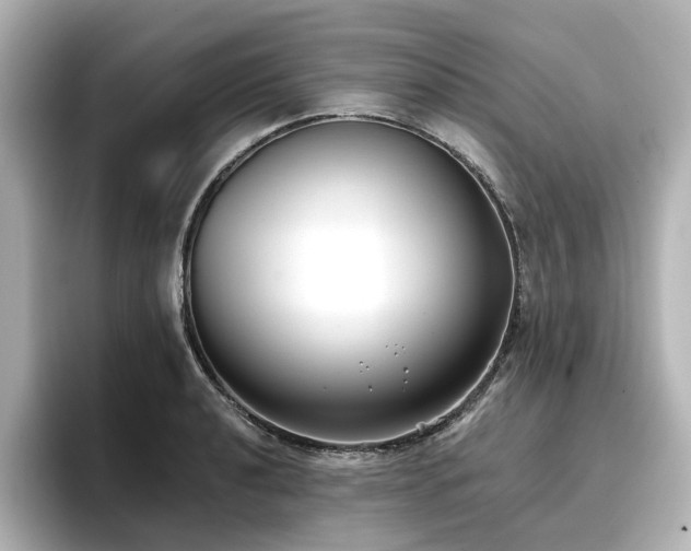X0000096721040200802051439