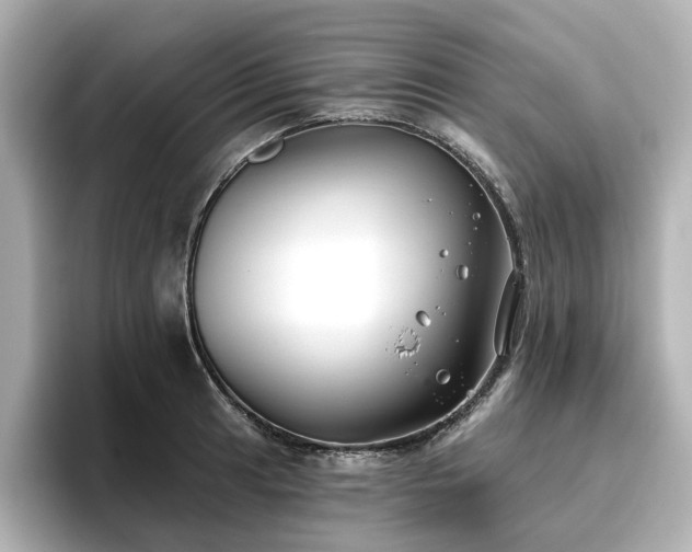 X0000096721041200802051439