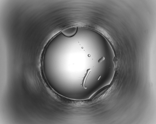 X0000096721042200802051439