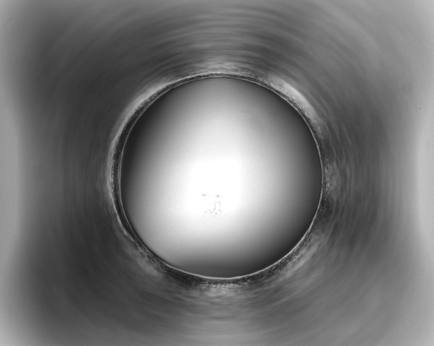 X0000096721043200802051439