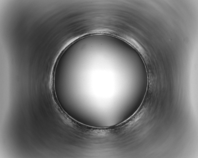 X0000096721044200802051439