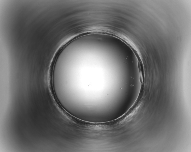 X0000096721045200802051439