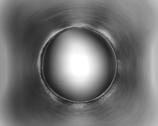 X0000096721046200802051439