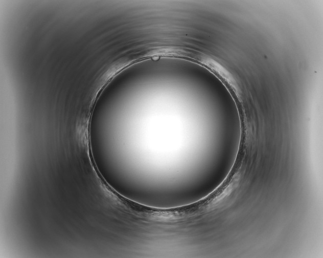 X0000096721049200802051439