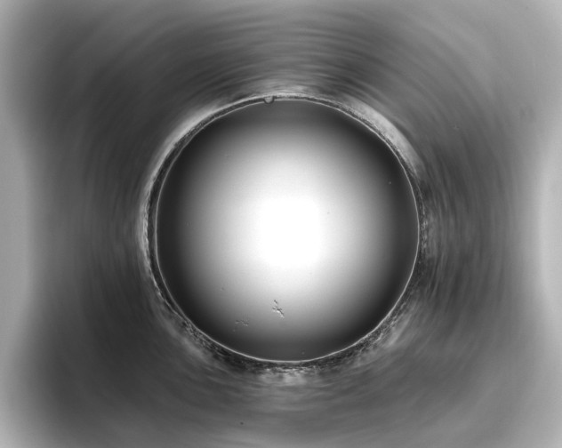 X0000096721051200802051439