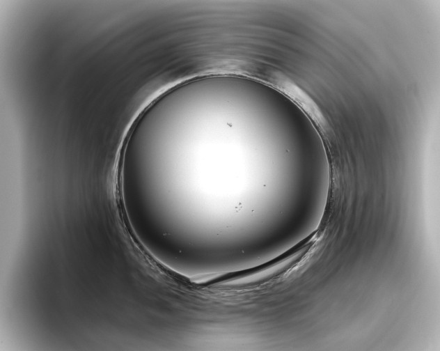 X0000096721052200802051439