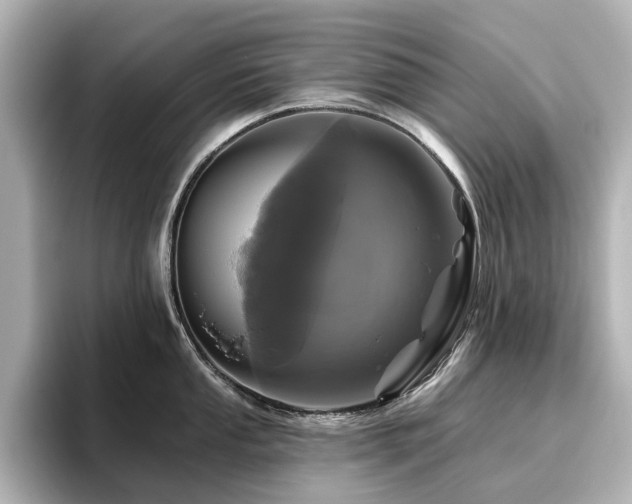X0000096721053200802051439