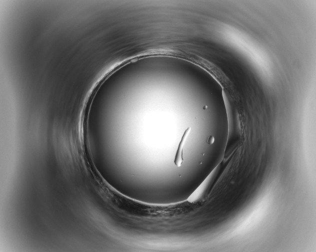 X0000096721054200802051439