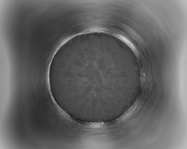 X0000096721055200802051439