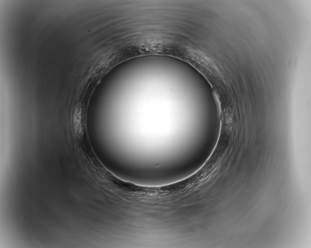 X0000096721060200802051438