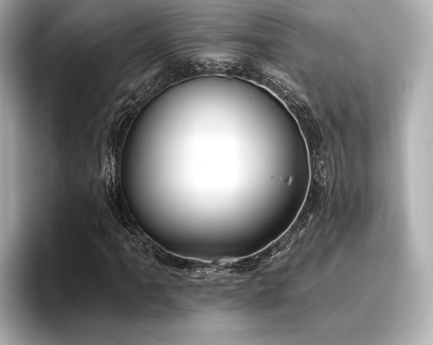 X0000096721061200802051438