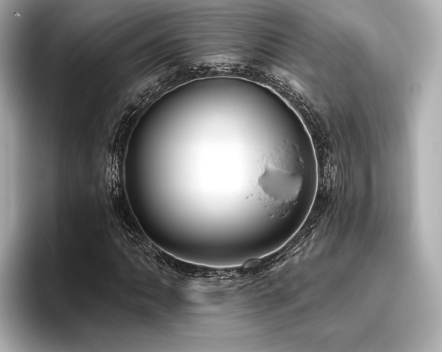 X0000096721062200802051438