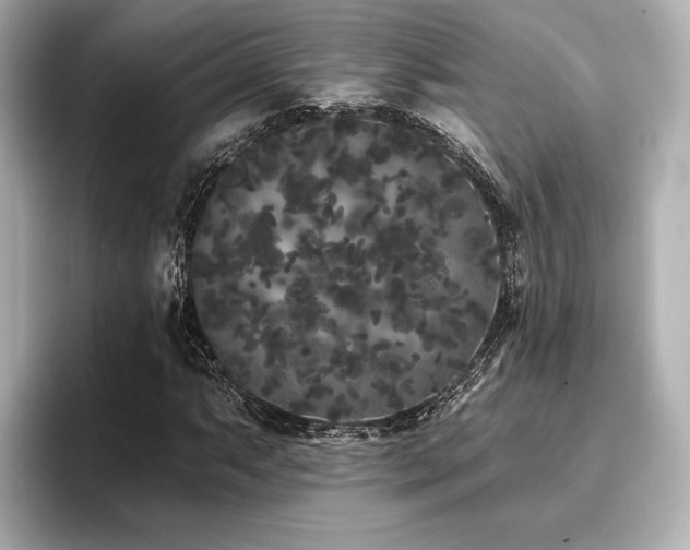 X0000096721063200802051438