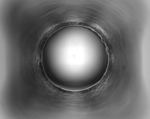 X0000096721064200802051438