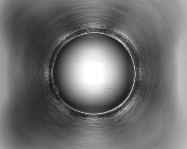 X0000096721065200802051438