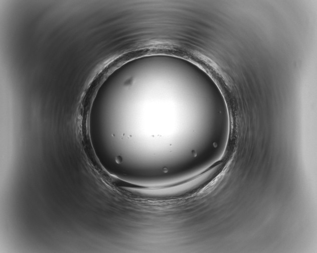 X0000096721066200802051438