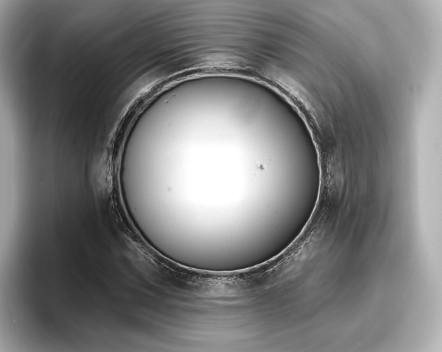 X0000096721067200802051438