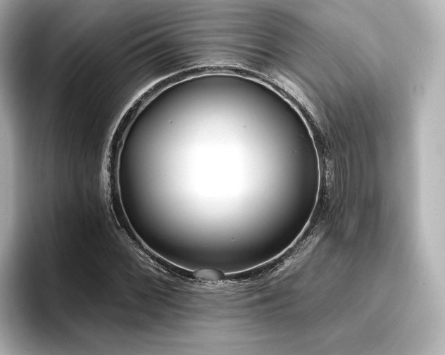 X0000096721068200802051438