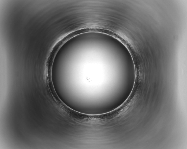 X0000096721070200802051438