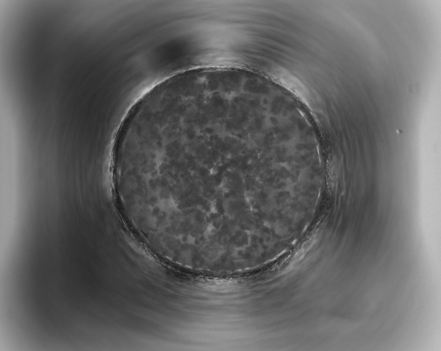 X0000096721071200802051438