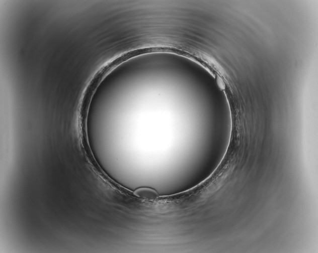 X0000096721072200802051438