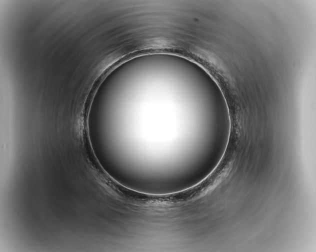 X0000096721073200802051438